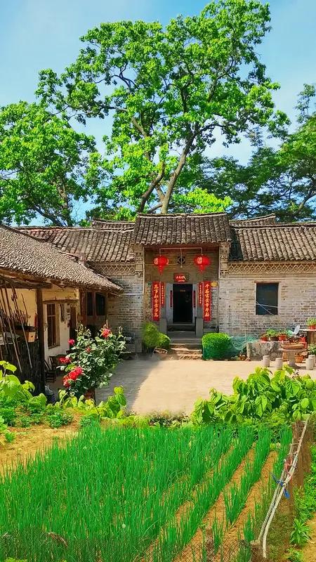 退休后回农村过田园生活，听起来很美好，但现实可能很骨感。我有个朋友退休后回了农村