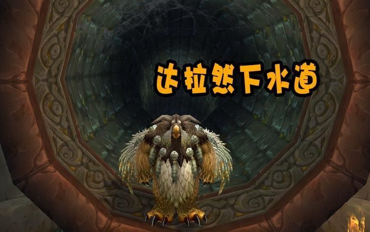 魔兽怀旧服: 达拉然下水道的福利, 两个隐藏宠物, 还能兑换5H牌子