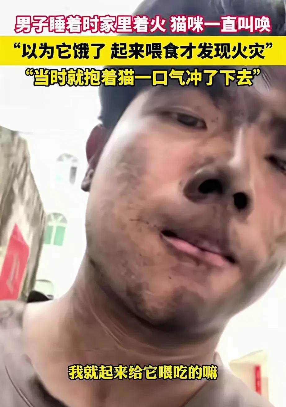 男子收养了一只流浪猫，半夜男子睡得正香，猫咪在男子头边不停的叫，还用爪子扒拉男子