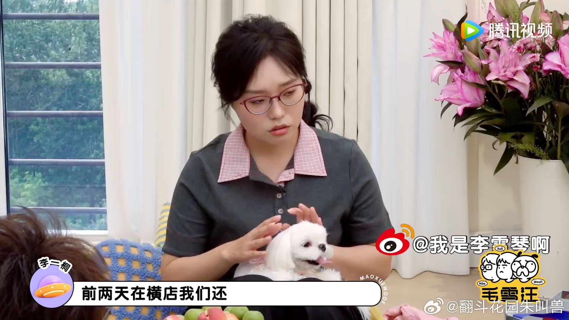 李一桐檀健次的狗桃园三结义了李一桐檀健次的狗拜把子李一桐的狗和檀健次的两只狗，