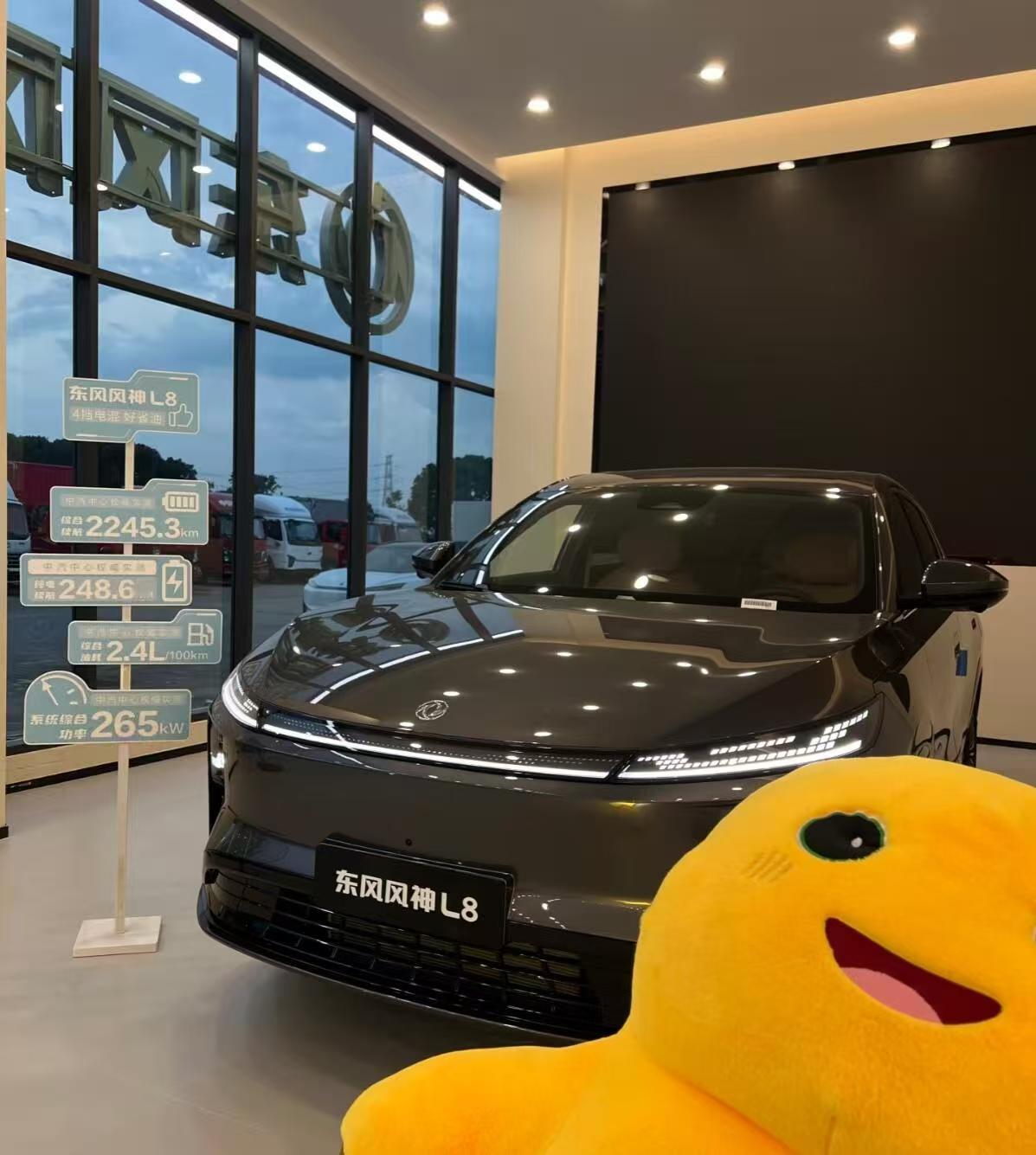 纯电能跑六百多公里，快充半小时补能大半，城市通勤半个月才充一次电。