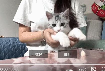 猫猫眼里全是对冻干的渴望​​​
