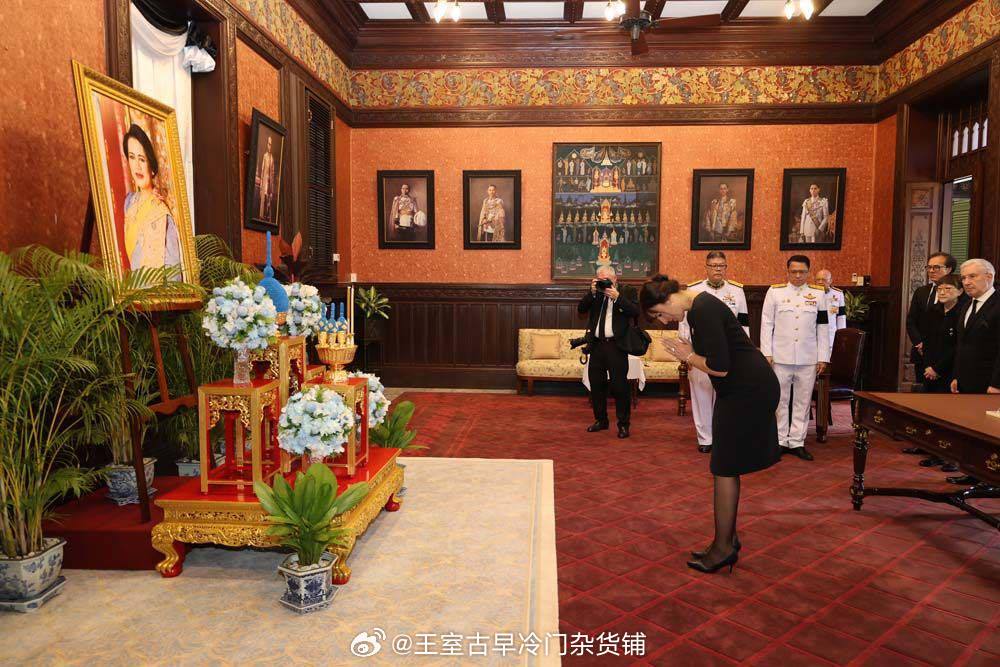 王室王室法国王室2026年3月5日，穆拉特王妃雅思敏吊唁红唇姐。这位真是稀客，