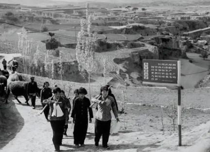 1964年，庆阳驿马关洋芋地浇地社员踩中软物，竟挖出一具带血男尸，后续搜查又发现