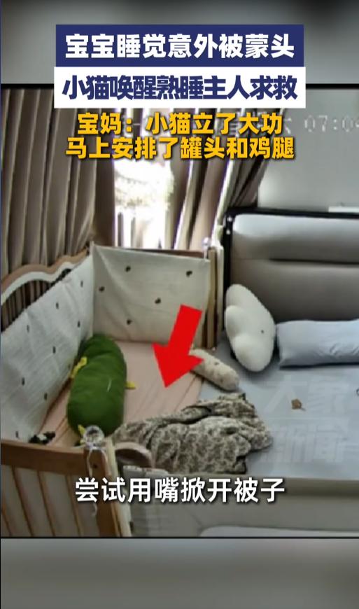 “真是来报恩的！”8月8日，山东临沂，一位宝宝在睡觉的时候翻了个身，被子意外蒙到