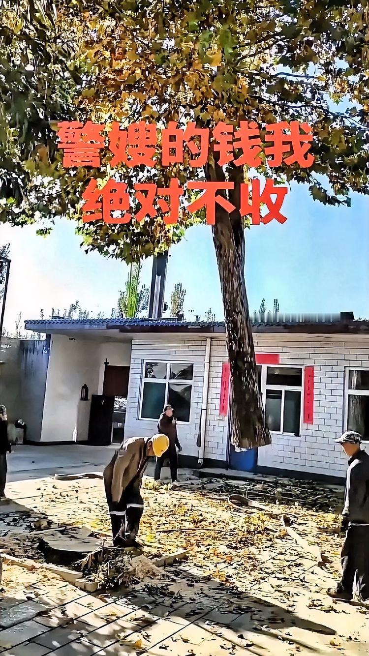 惊爆！山东吊车师傅吊完树，看见主人家墙上的照片转头就跑，对着搭档吼道：“赶紧开车