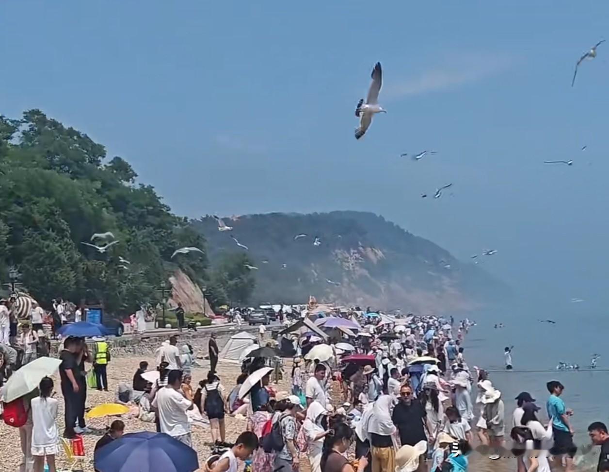 你知道大连棒槌岛海滨浴场吗？如果想去棒槌岛海边游泳，建议最好早上去。八点多钟