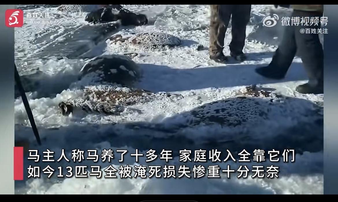 最近黑龙江那边出了件让人心疼的事儿，好多人刷到视频都愣住了。在嫩江市一个水库的冰