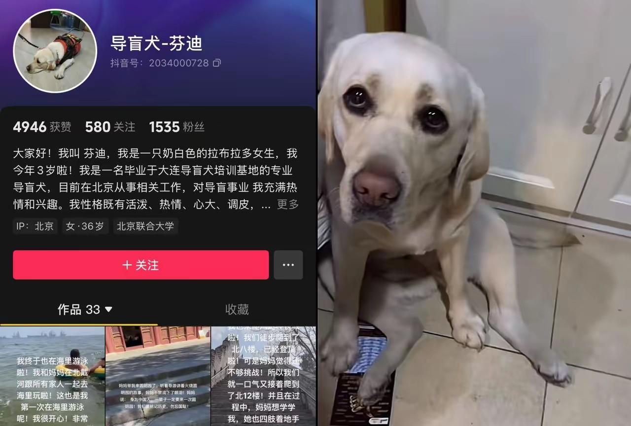 我觉得爬山就爬山，还不给他水吃东西吃，当时有人拍了视频，狗子的肚子都塌进去了