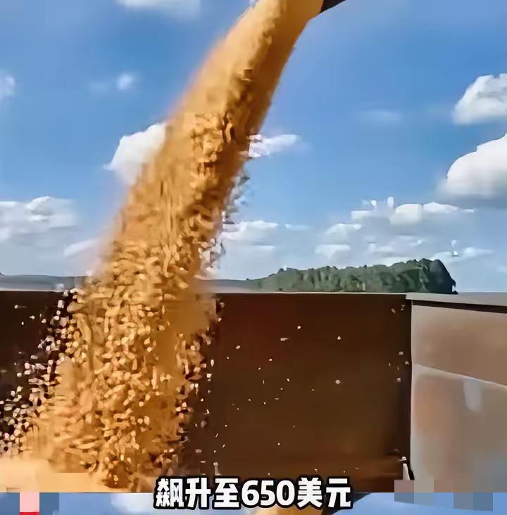 这些伎俩我们5000年前就见过了!!破解巴西大豆涨价,只需要告诉全世界,我们只