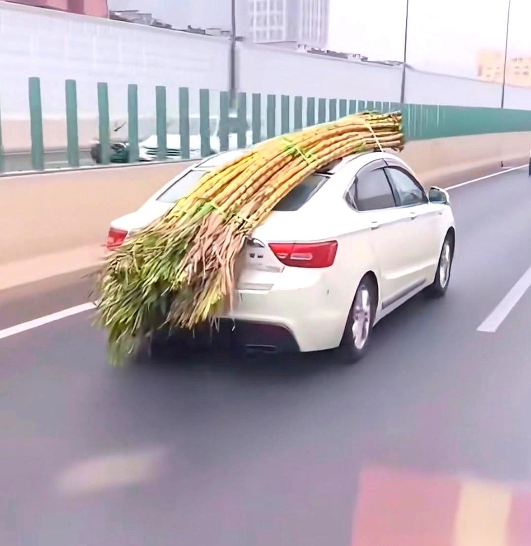 临近过年，高速上总能看到一些让人挪不开眼的车。一辆小轿车，车顶用绳子横着绑了一