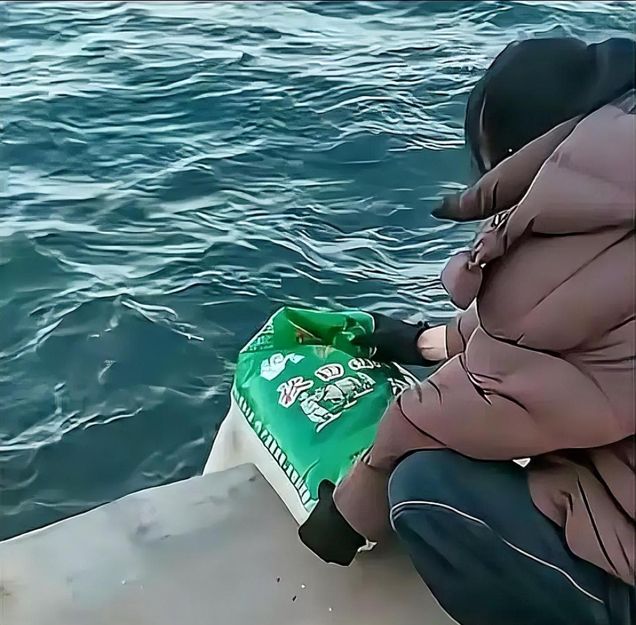 葫芦岛海边出现“放生大米”奇观，引发网友热议，背后有何深意？近日，辽宁葫芦岛一