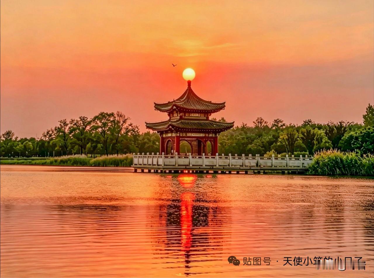 十大黄金抗衰运动｜坚持一项，状态年轻好几岁1️⃣游泳公认的全身友好运动，