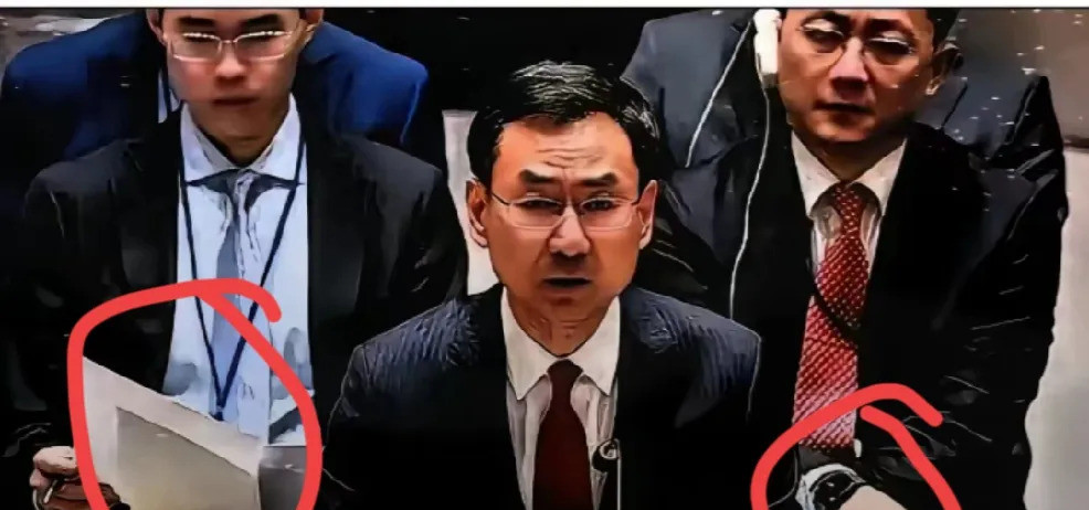耿爽联合国发言，说出大实话大事不好了！昨天耿爽在联合国放