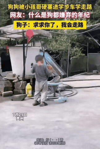狗都嫌弃的年纪[捂脸哭][捂脸哭]