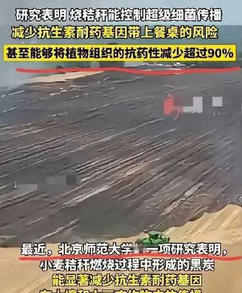 谁能想到？过去因“制造雾霾”被各地严令禁止、农民烧了就要挨罚的秸秆焚烧，如今竟爆