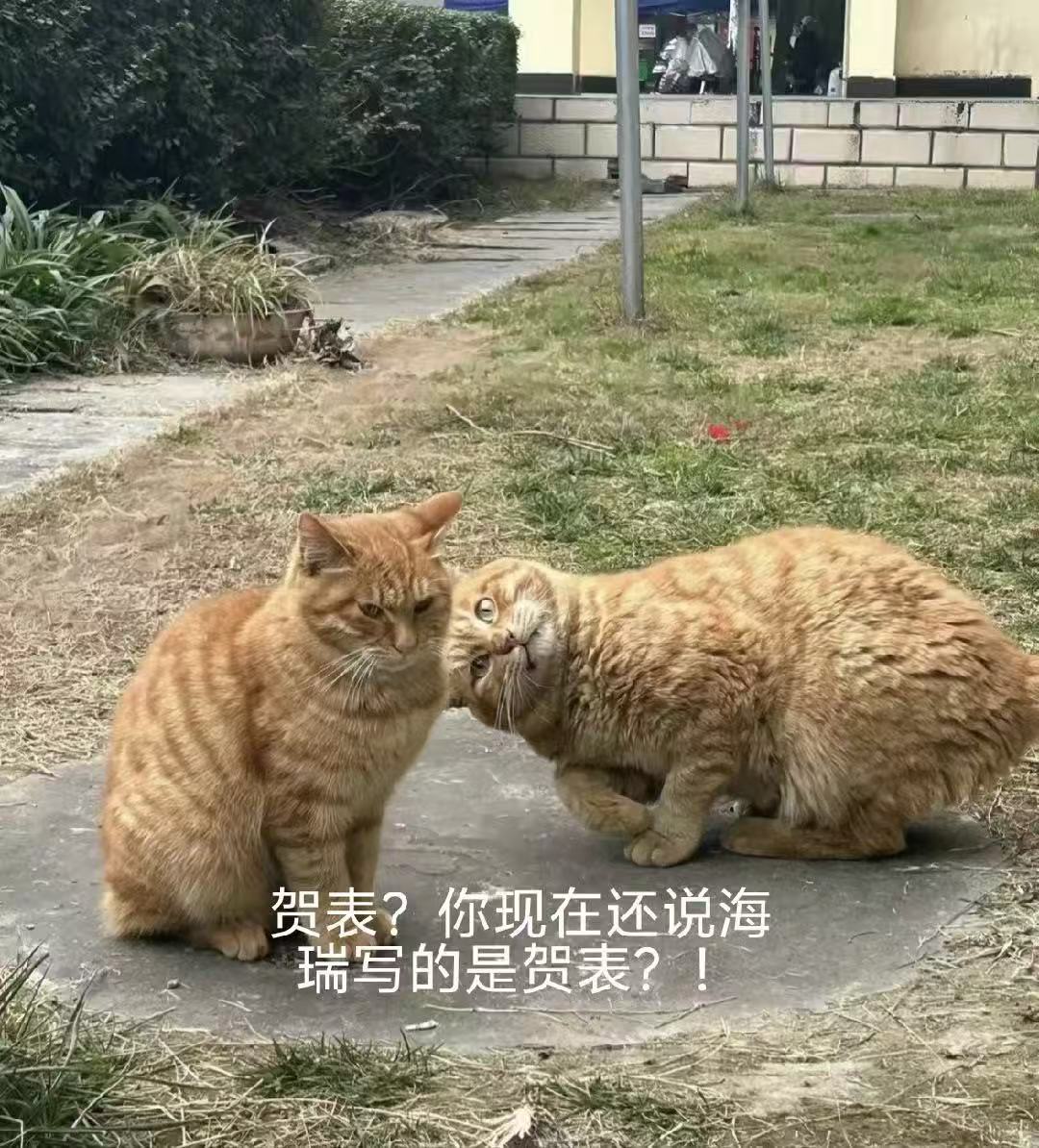 将军可以帅但不能没杀气没必要喊打喊杀，市场的选择罢了。通过互联网口诛笔伐，并不会