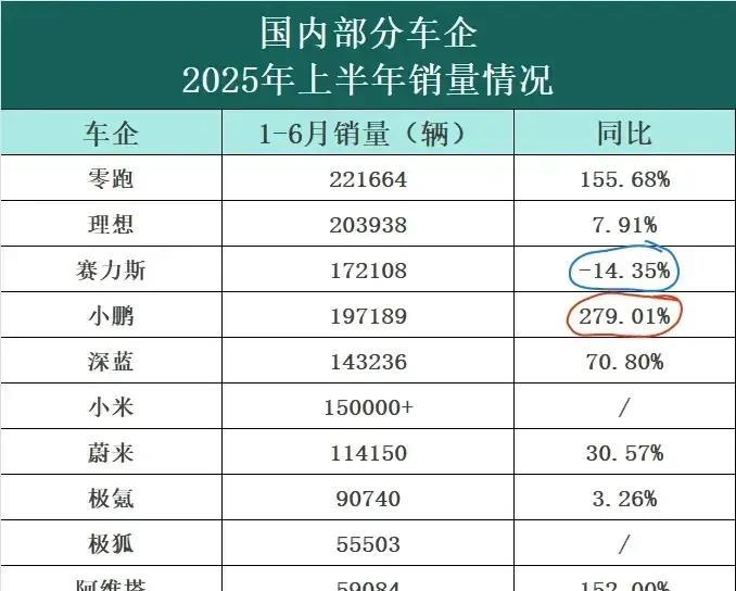 高端理想，中端小米，低端零跑。潜力股小鹏，高估值比亚迪，ICU蔚来。零跑和鸿