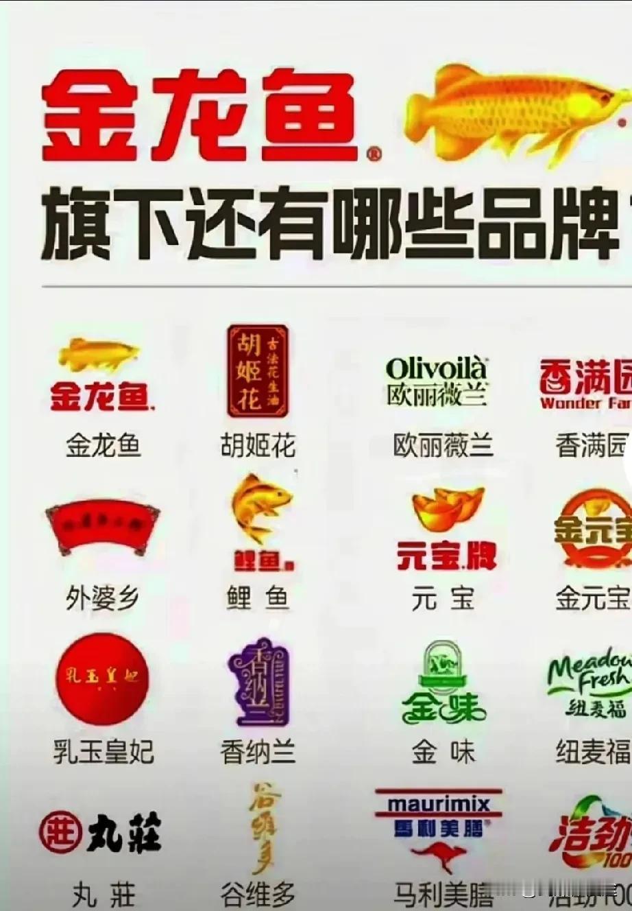 新加坡“金龙鱼”集团，一个在中国深耕40多年的企业，从一个几个亿带进中国投资