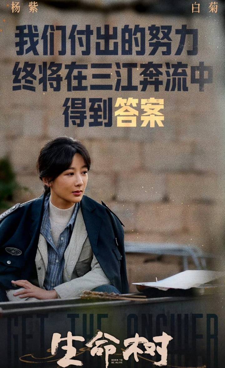 杨紫王安宇合作杨紫3.13号要去罗马大放光彩王安宇待播剧也不少目前两位交集只