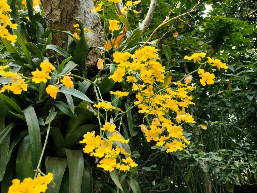 不养老人惦记金钱的女儿邻居家有一儿两女三个孩子，老人都90多岁了，需要儿女们照