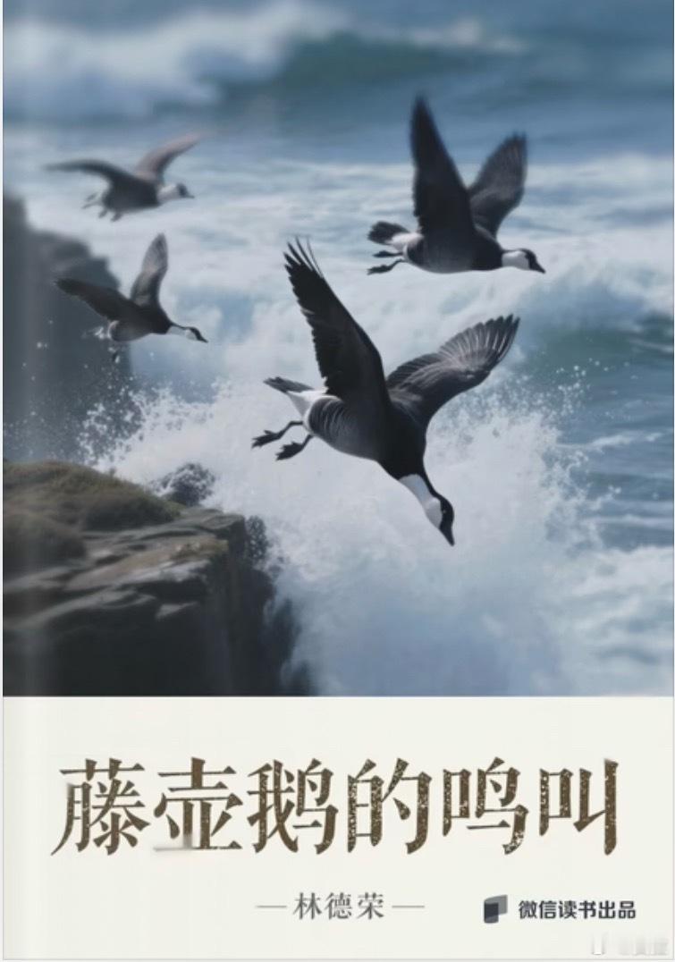 最近在微信读书读到部小说《藤壶鹅的鸣叫》，挺有意思。特别是一个女性的形象很出彩，
