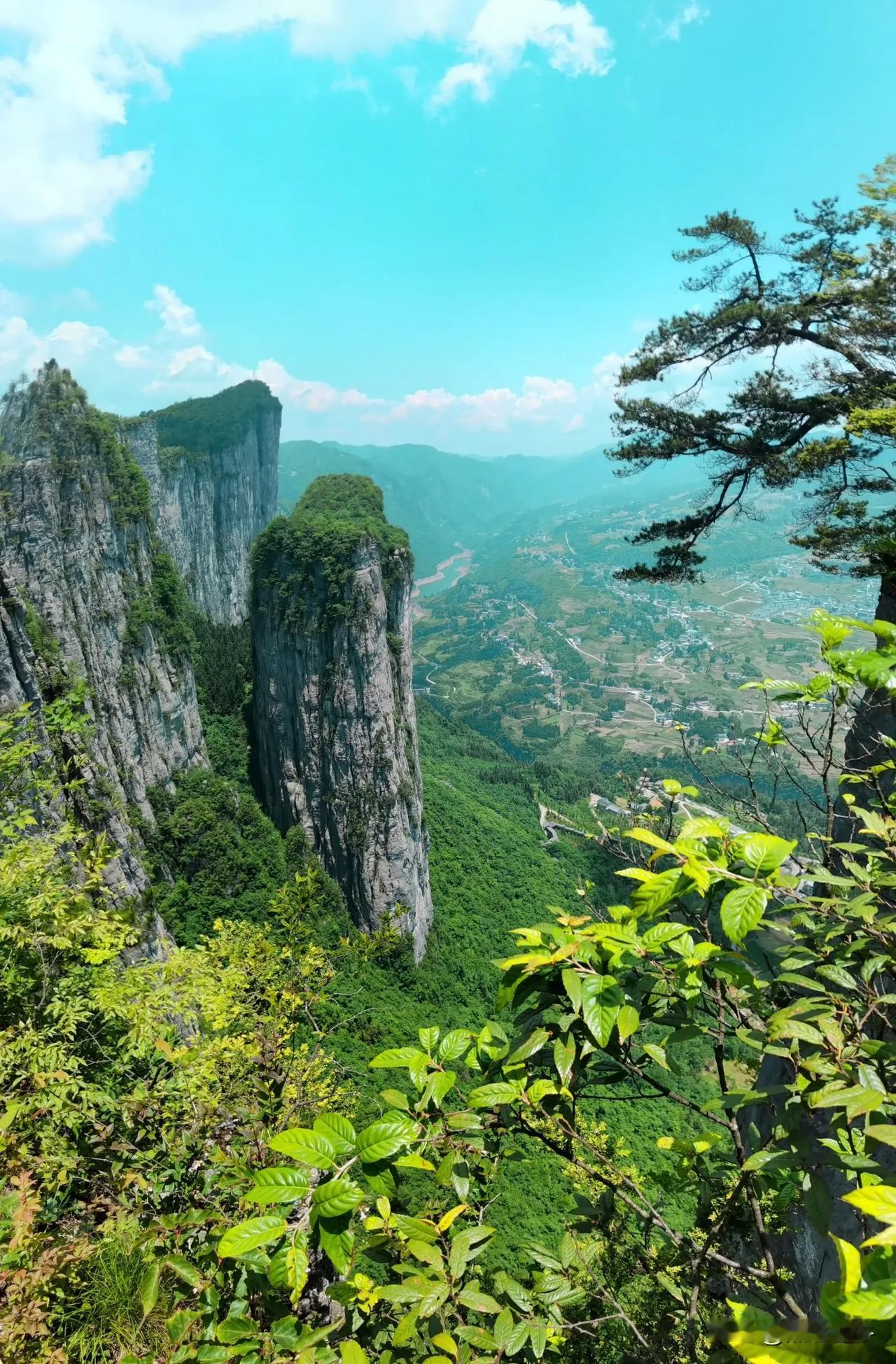 悬崖上的景色总是令人心醉。就像在黄山，坐缆车时，那高耸山峰、葱郁树林尽入眼帘，悬