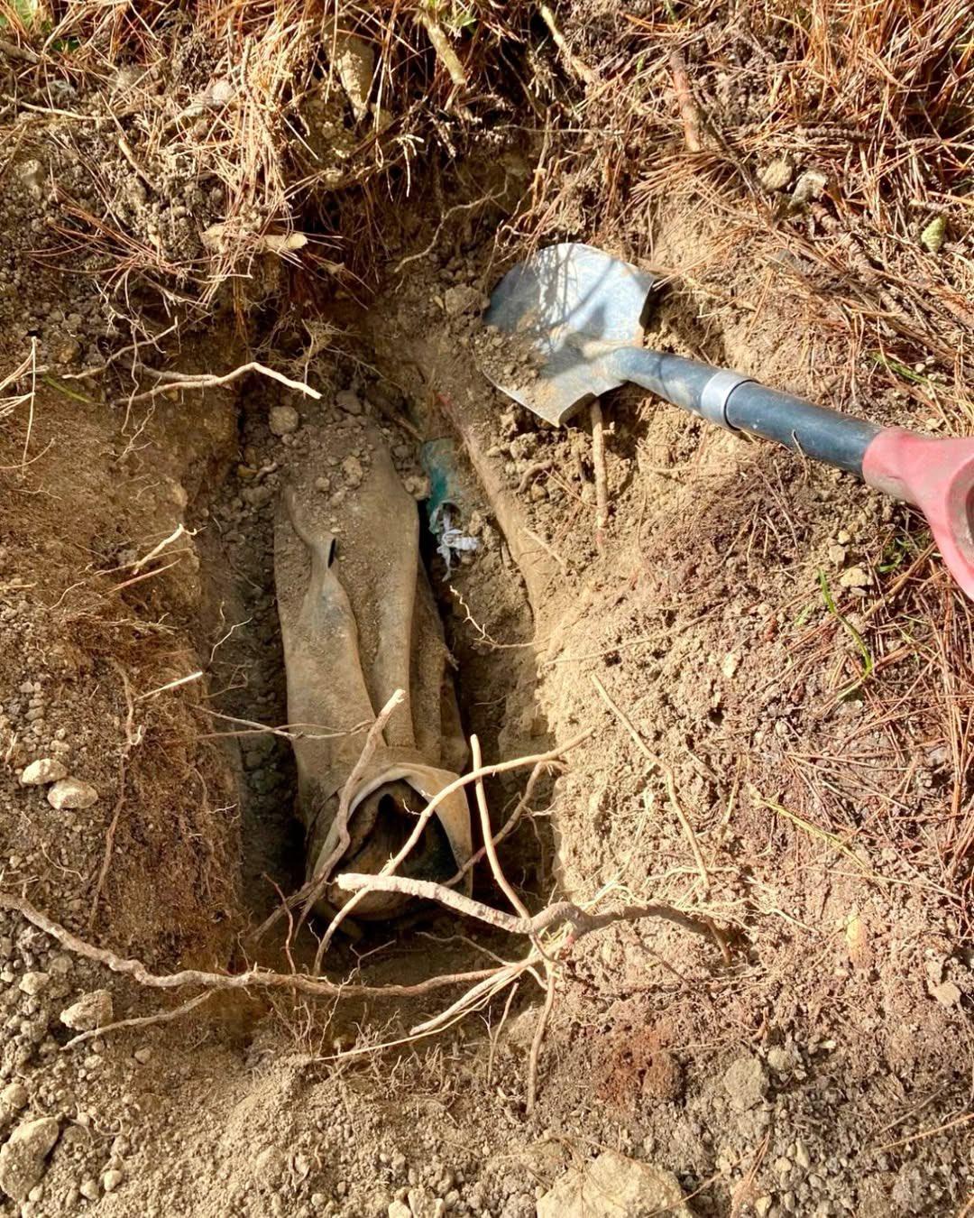 发生在2024年的事件：一名新西兰男子在惠灵顿郊区伯汉普尔(Berhamp