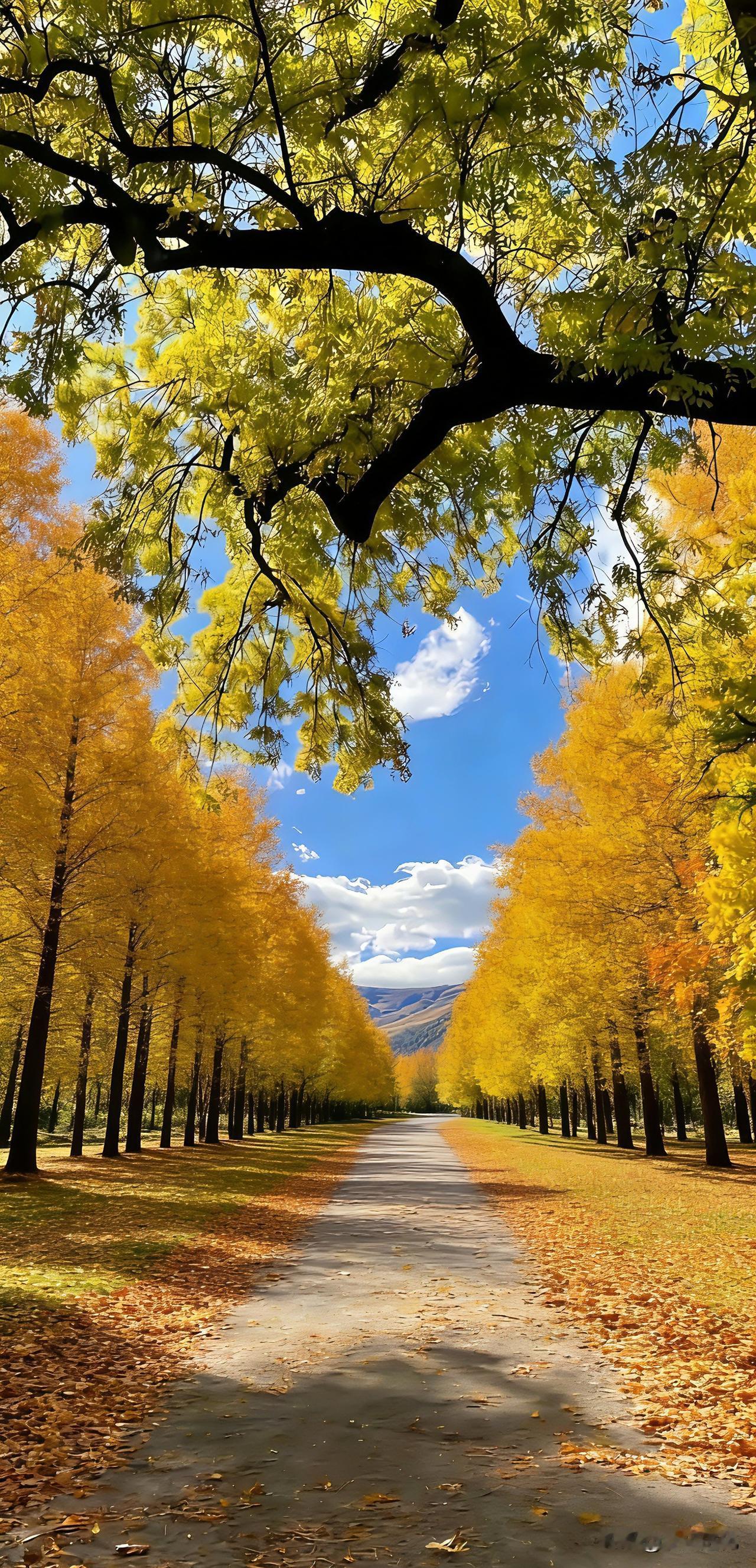 一个老道士传下来一个转运玄学：“当你扛不住的时候，一定要学会借运，借大地的稳，