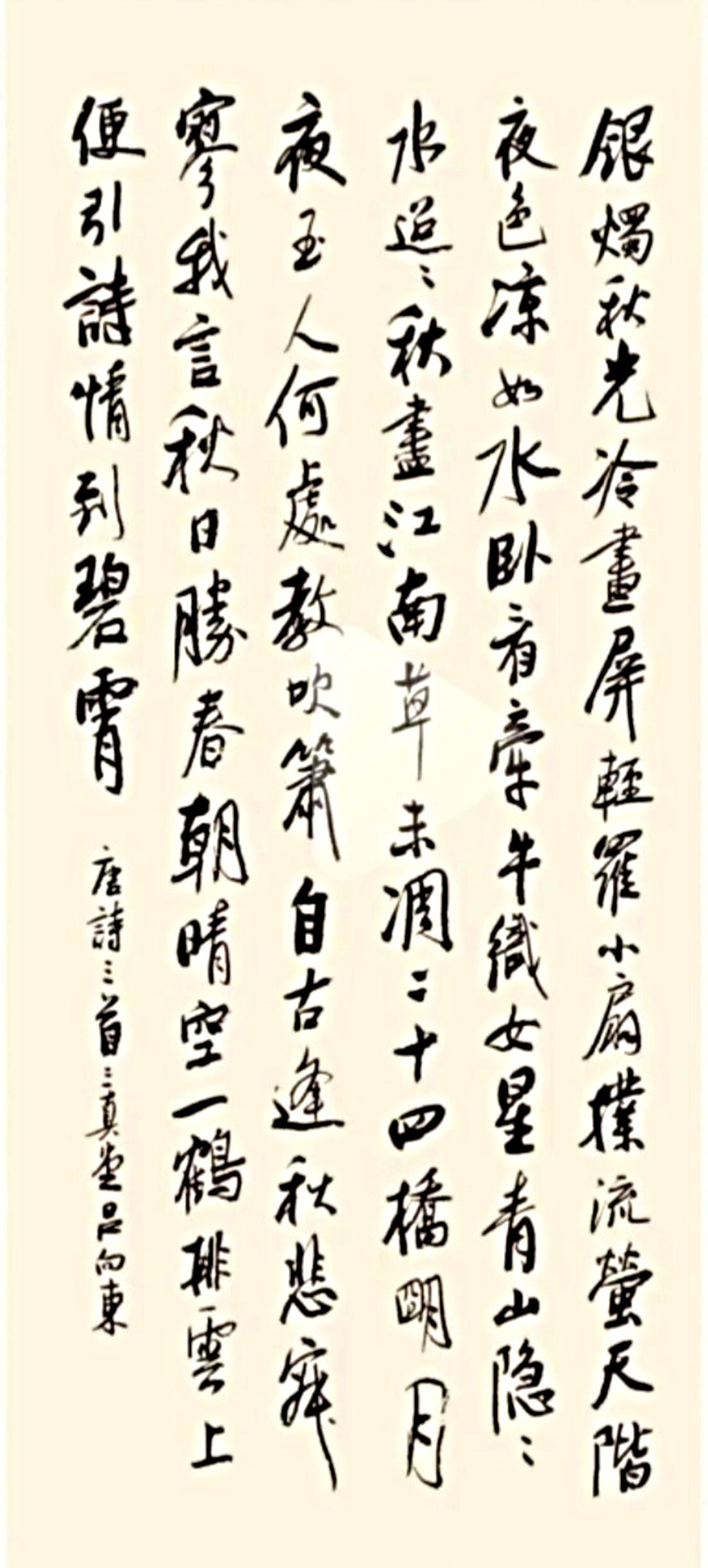 每日分享书法之美