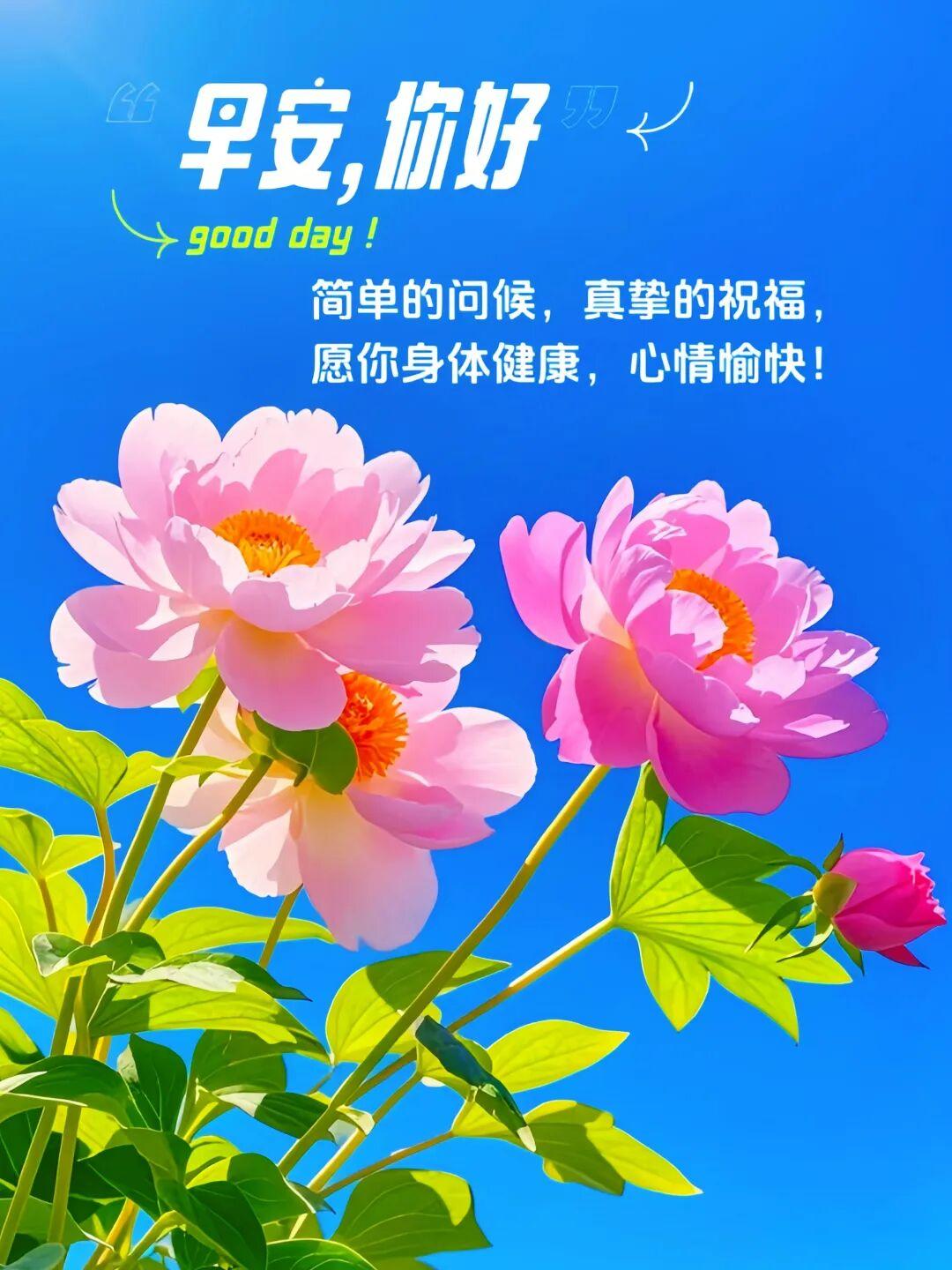🌊人生百态，悲喜皆常态，🌹走好脚下每一段路就好。💝缘分聚散，哭笑皆本心，?