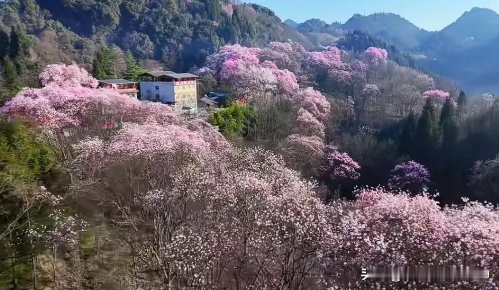 3月5日.，全国两会马上要开始了，你知道老百姓最好的呼声是什么？一、提高劳动人