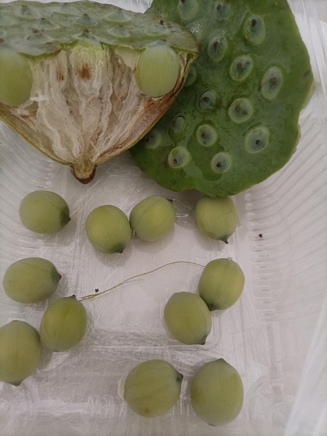 受到朱女士这事的影响了，今天和媳妇说起“夫妻共同财产”，话还没说完，她就来一句：
