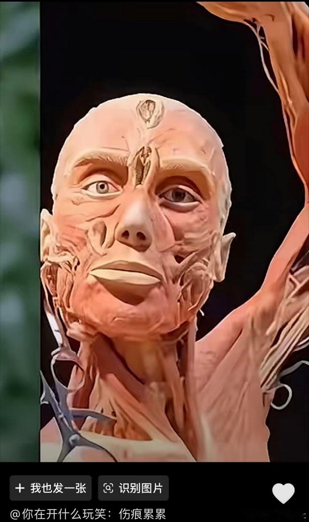 网友说陈坤被替换了看到这种真的细思极恐....先有贾玲后有迪丽热巴是不是都被