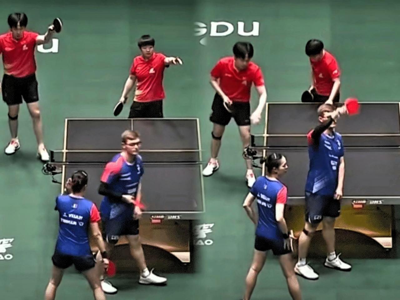 这两小只互动真的超有爱！场边有闪光灯亮，莎莎马上抬手指了指，大头看都没看