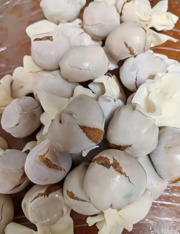 昨天我买回来20个咸鸭蛋，我睡觉的这功夫，我起来一看，天塌了，婆婆她把鸭蛋全部剥