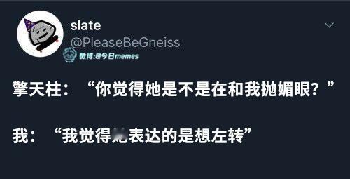 让猴哥闪它（PleaseBeGneiss）今日meme今日memes