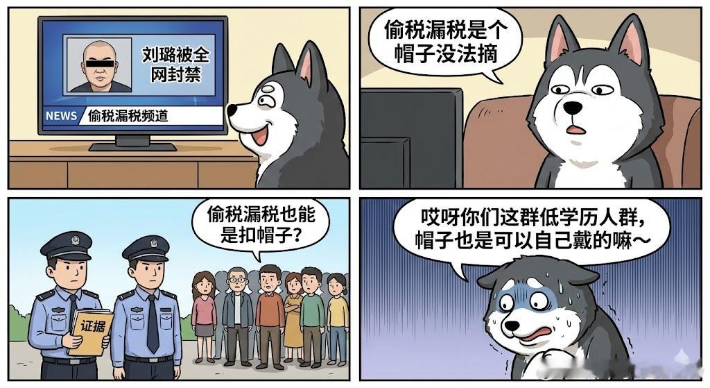 《偷税漏税是个帽子》顺便