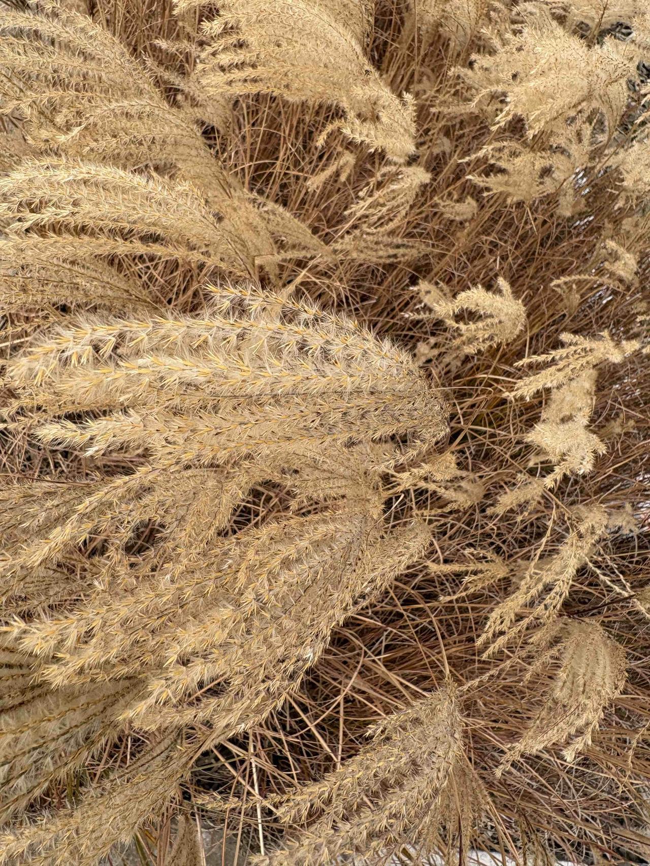 2026年中国股市开门红的原因，以及热点方向，以后的操作策略。2026年A