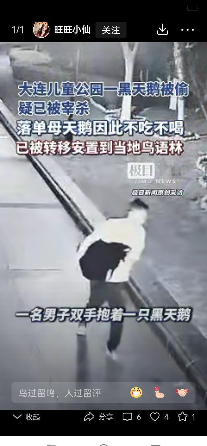 昨晚私下聊天，在派出所做辅警的发小压低声音讲起大连那起偷黑天鹅的事，摇着头叹了口