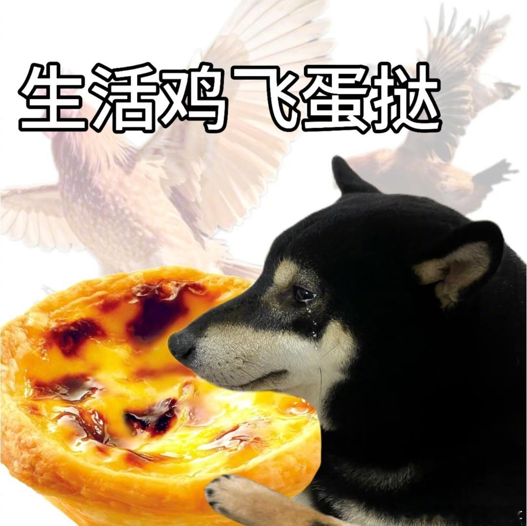 当12星座被问“晚上吃什么”……直接崩溃型：天秤、双子（别问了别问了）立刻有答案