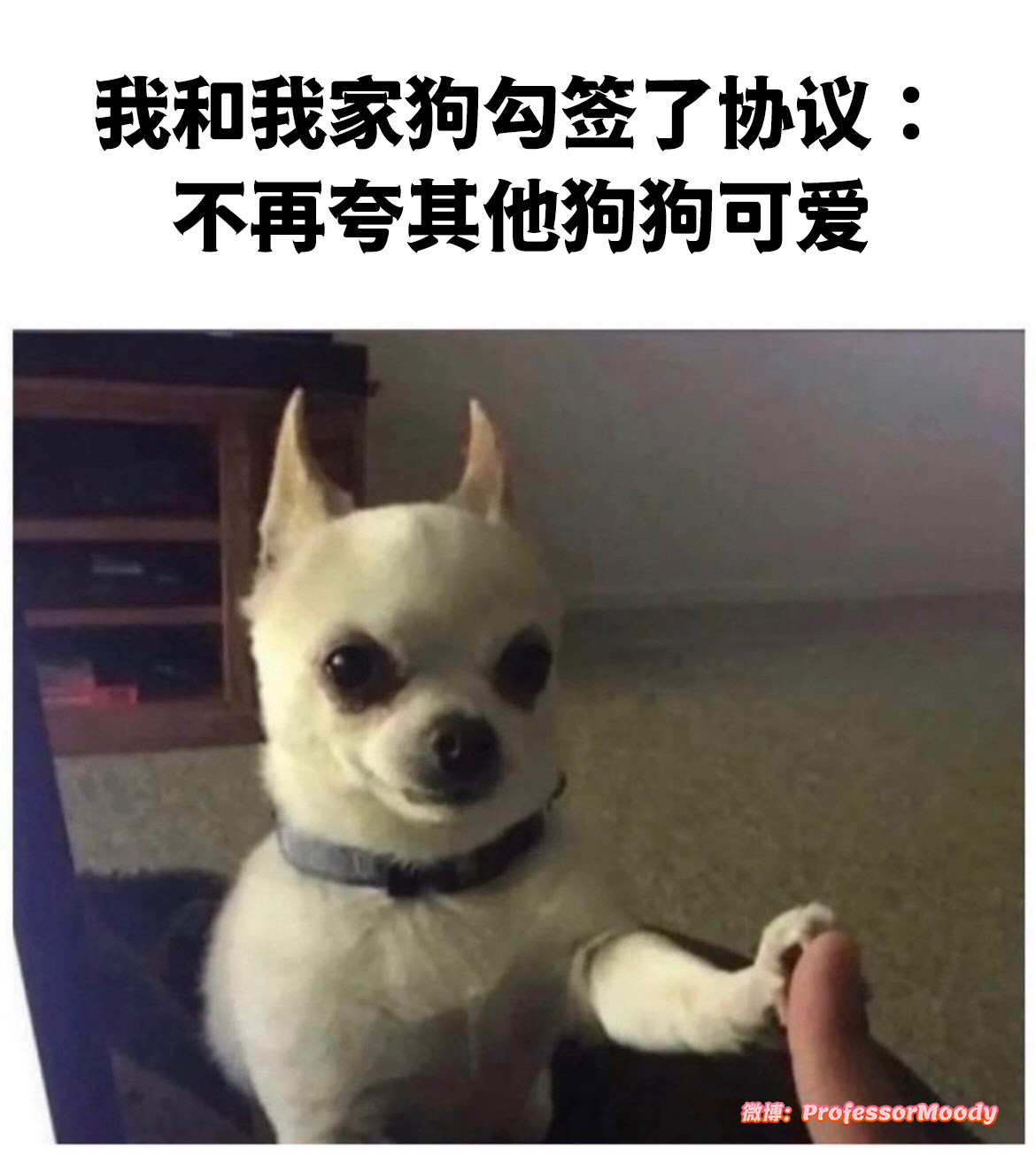 对不起。。我做不到meme​​​