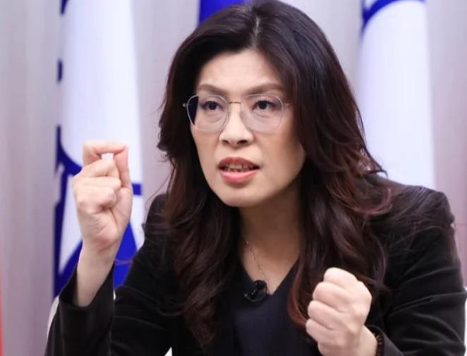 郑丽文终于藏不住了！针对两岸问题，6月8日，郑丽文再次表态妄称“透过武力和强迫的