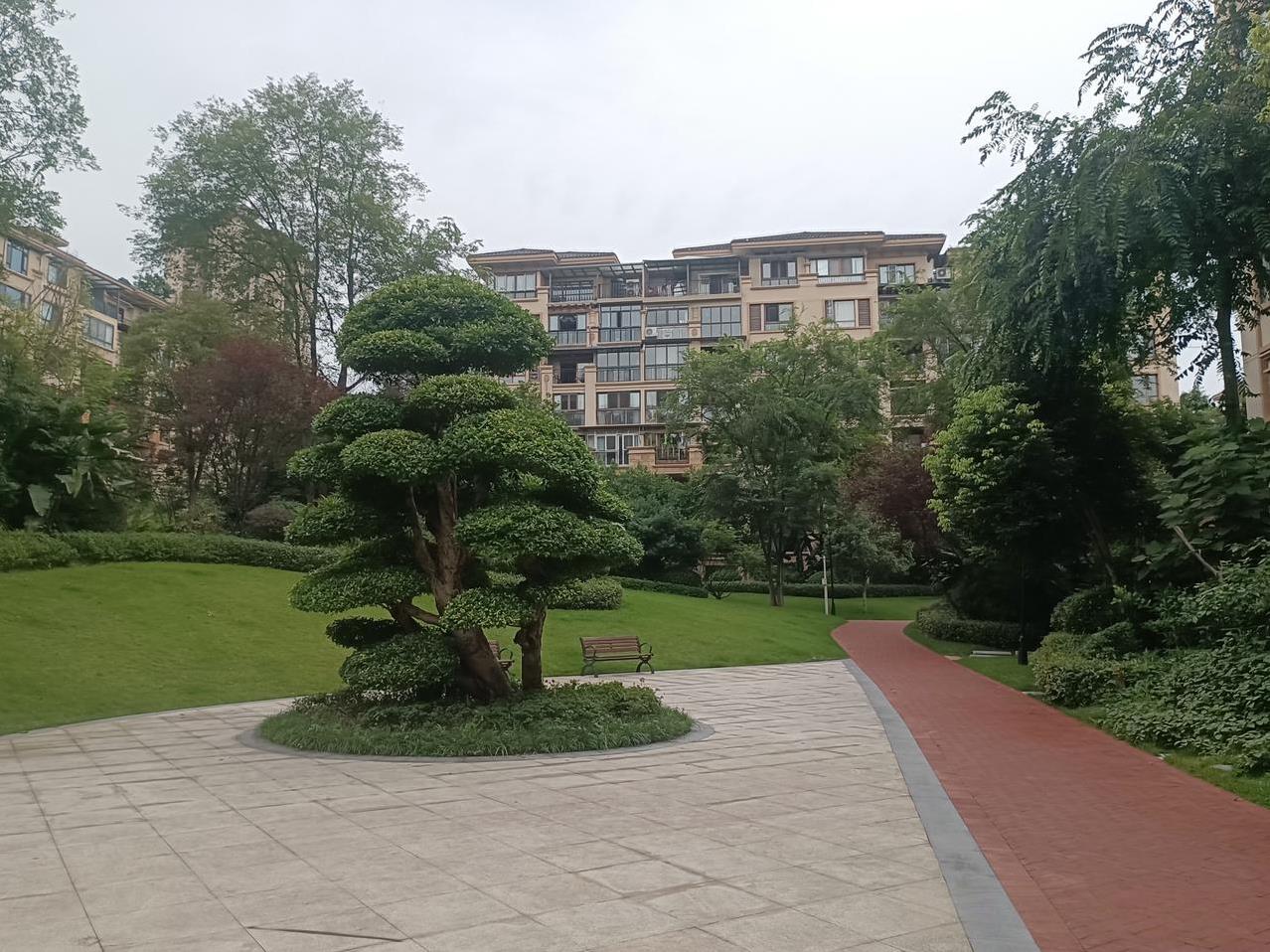 实话实说，对于85%的人，书读到高中便刚刚好了。别不信，世上之事，90%的一个