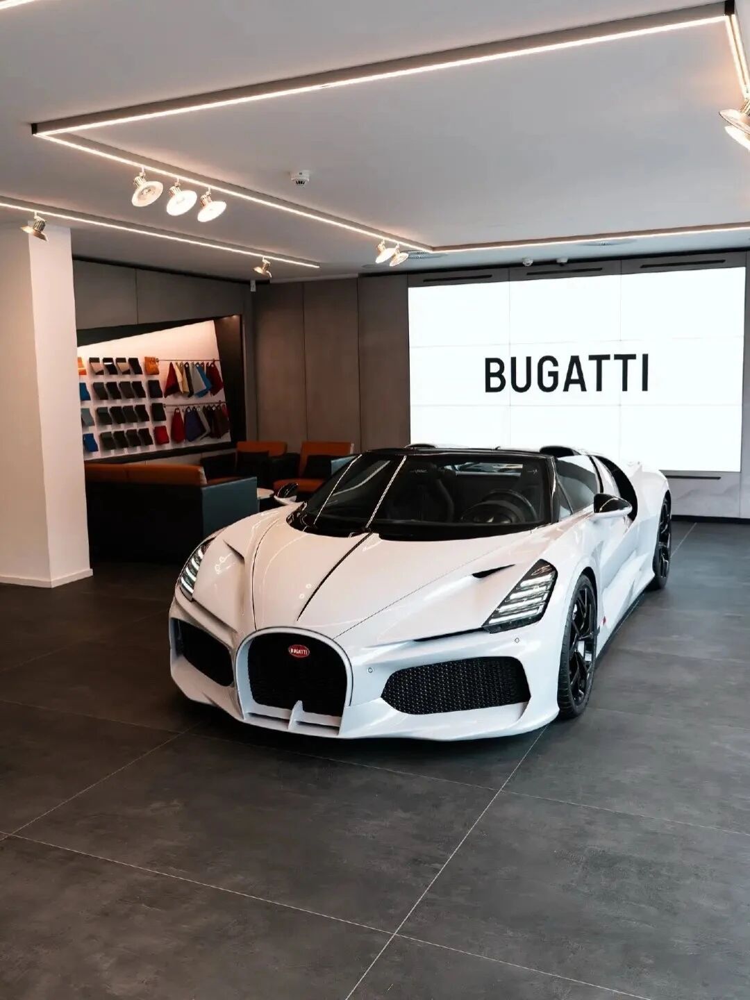 什么牛啊、马啊的，都不如大象🐘！布加迪Mistral！豪车超跑