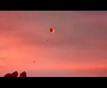 16751075358784743739.jpeg?id=0