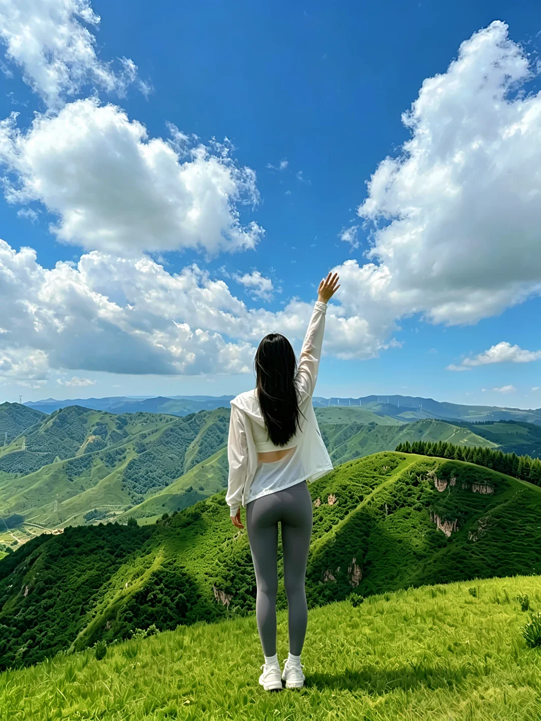 我找到了绿野仙踪的夏天🍃