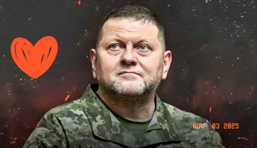 还是扎卢日内实在！前乌克兰总司令表示，军队的撤退如果是以保存军事基础和生命为目标