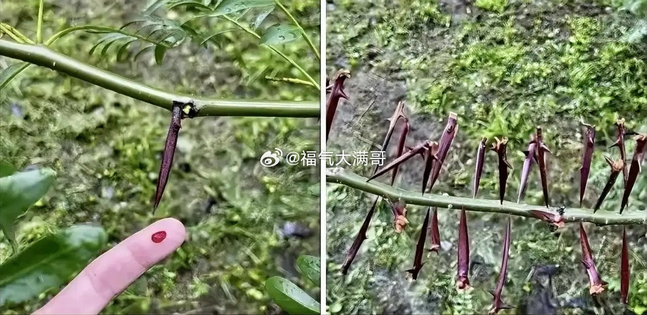 君子报仇，一分钟都等不了！​​​