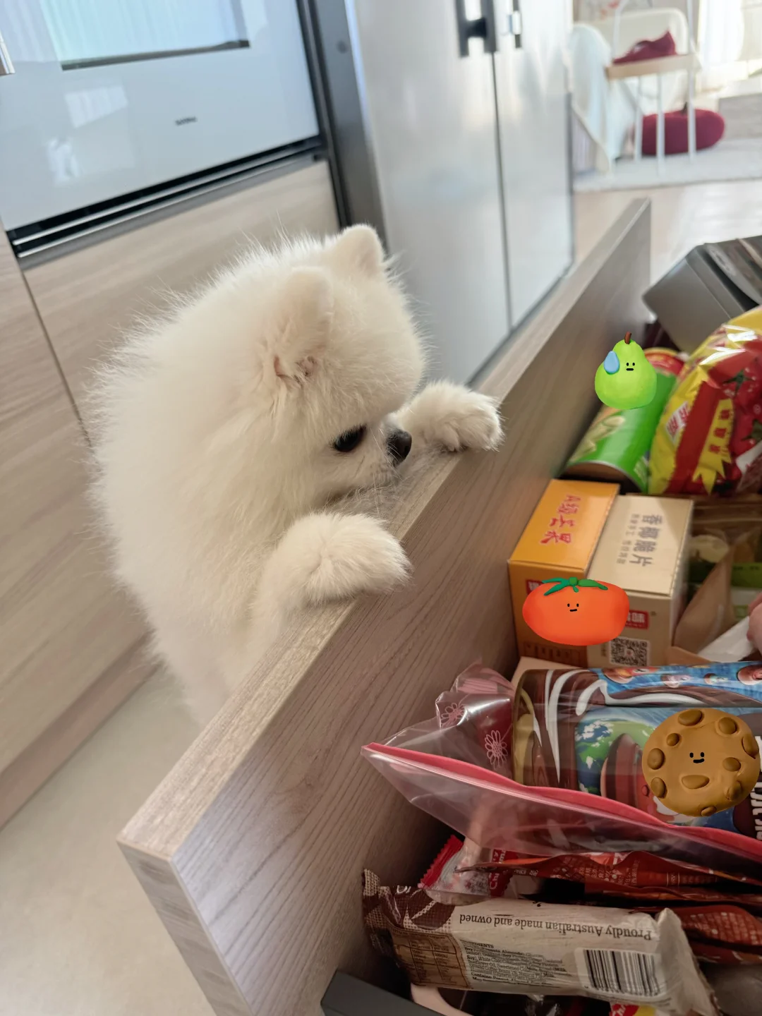 让我看看有什么好吃的🍪